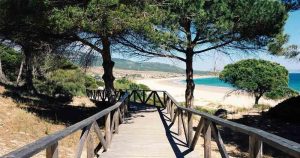 Costa de la Luz - Holzsteg bei Reisemagazin Plus