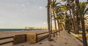 Costa Blanca - Palmen bei Reisemagazin Plus