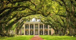 New Orleans - Die Oak Alley Plantage bei Reisemagazin Plus