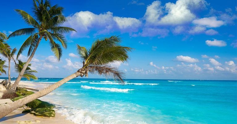 Playa del Carmen - Strand und Palmen - bei Reisemagazin Plus