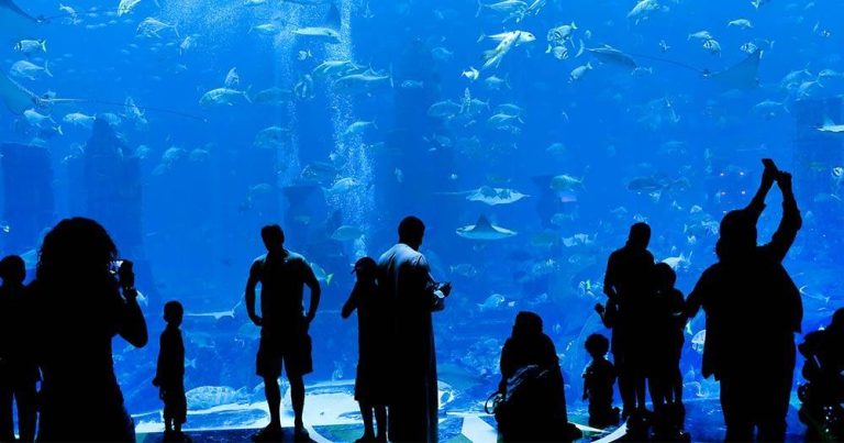 Aquarium Underwaterworld - Publikum vor dem Aquarium - bei Reisemagazin Plus