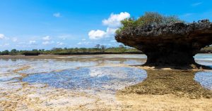 Mombasa - Felsformation bei Ebbe bei Reisemagazin Plus