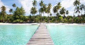 Seychellen - Ausblick auf das Meer und die Palmen bei Reisemagazin Plus