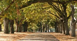 Melbourne - Carlton Gardens bei Reisemagazin Plus