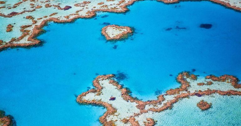 Cairns - Korallen aus der Luft - bei Reisemagazin Plus