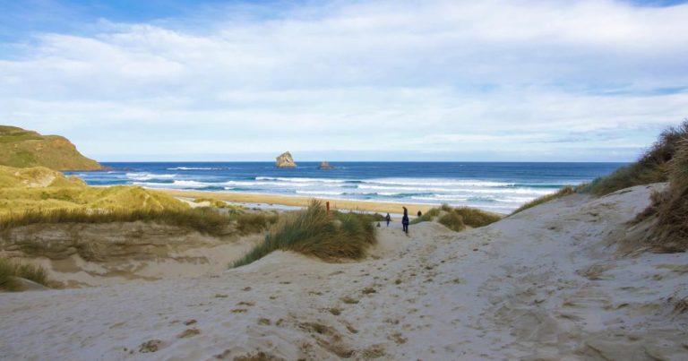 Auckland - Blick auf den Strand - bei Reisemagazin Plus