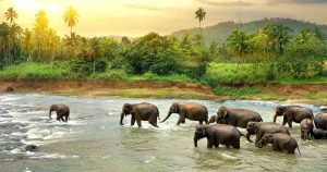Sri Lanka - Blick auf die Natur bei Reisemagazin Plus