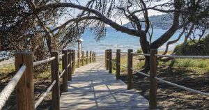Ibiza - Weg zum Strand von Ses Salines bei Reisemagazin Plus