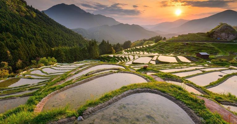 Kii-Halbinsel - Die Reisterrassen - bei Reisemagazin Plus