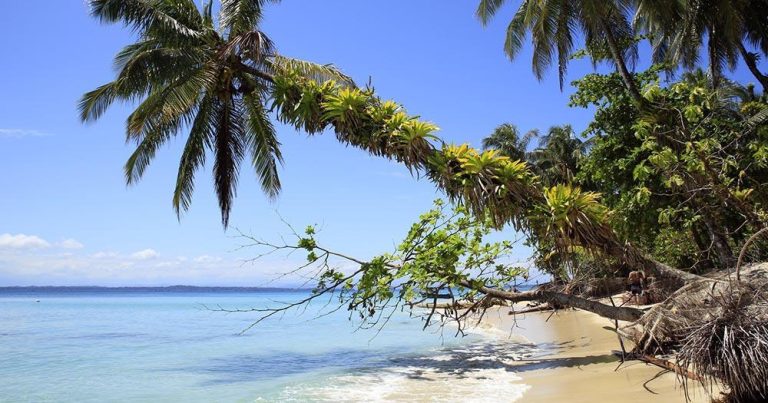 Bocas del Toro - Tropical Beach of Zapatilla - bei Reisemagazin Plus