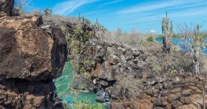 Galapagosinseln - Wasserloch auf Santa Cruz bei Reisemagazin Plus