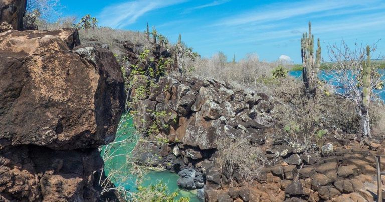 Galapagosinseln - Wasserloch auf Santa Cruz - bei Reisemagazin Plus