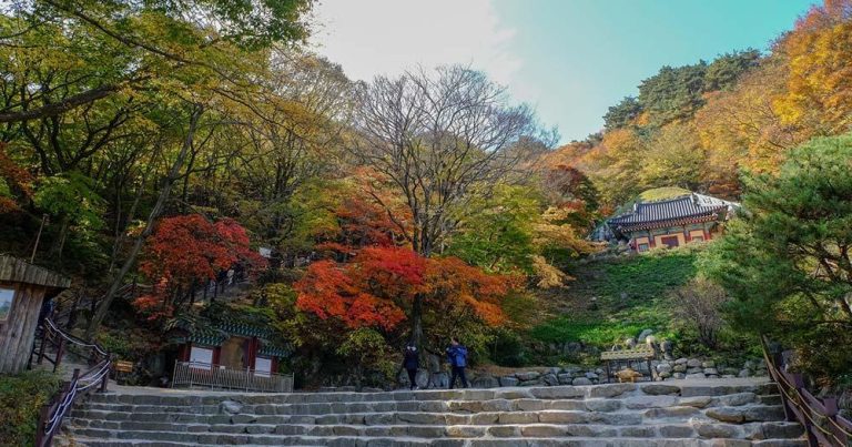 Gyeongju - Seokguram Grotto - bei Reisemagazin Plus