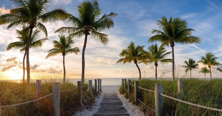 Key West - Herrliche Palmenstrände - bei Reisemagazin Plus