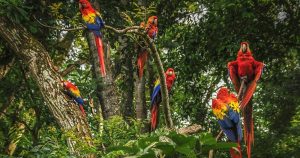 Salvador - Baum voller Aras bei Reisemagazin Plus