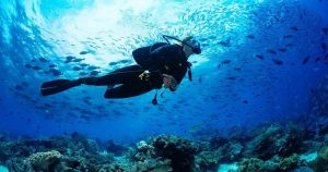 Cenoten - Taucher am Korallriff bei Reisemagazin Plus