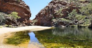 Alice Springs - Outback Wassserstelle bei Reisemagazin Plus