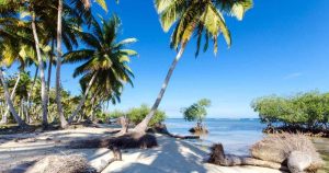 Barbados - Palmenstrand bei Reisemagazin Plus