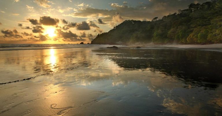 Costa Rica  - Jungle Beach