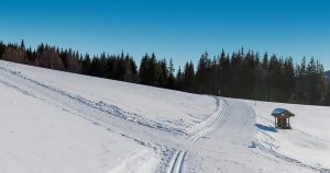 Feldberg - tolle Pisten bei Reisemagazin Plus