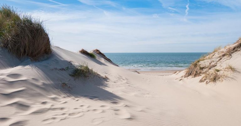 Zeeland - Dünen - bei Reisemagazin Plus