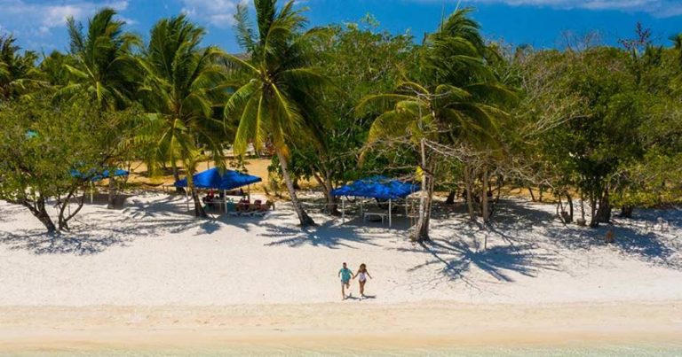 Tuvalu - Strand und Palmen